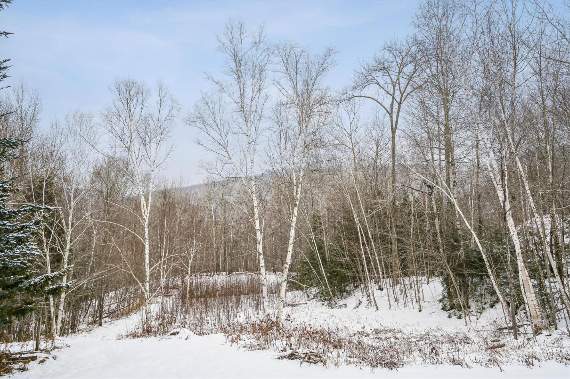 Spacious Northbrook 3 Townhouse Only 2 Miles From Restaurants & Nightlife Killington Exterior foto
